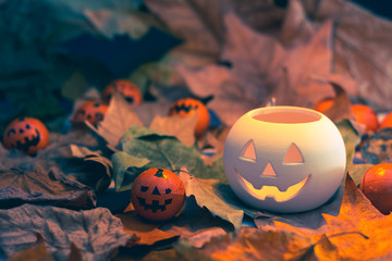White Halloween pumpkin among small orange pumpkins and autumnal leaves