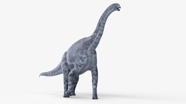 3d rendered illustration of a cetiosaurus