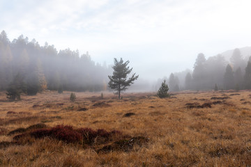 St. Moritz: Stille am Stazersee (Lej da Staz)