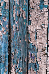 Vintage painted wooden background texture of wooden weathered rustic wall with peeling paint. Empty space for copy old wood texture. Cracked paint with lots of small cracks, abstract grunge texture