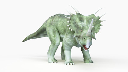 3d rendered illustration of a styracosaurus