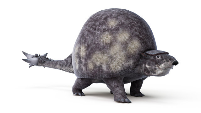 3d rendered illustration of a doedicurus