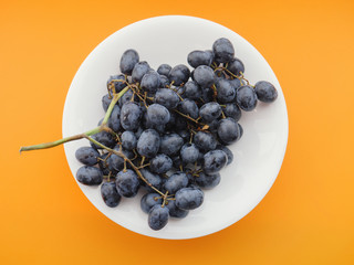 Dark grapes in plate on orange background.