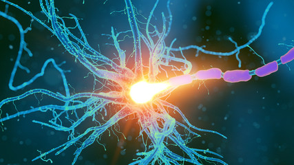 3d rendered medically accurate illustration of a nerve cell
