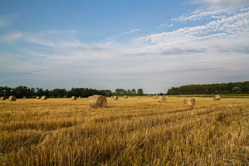 Obraz premium Strohballe