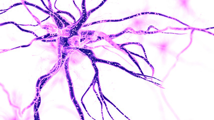 3d rendered medically accurate illustration of a human nerve cell on white background