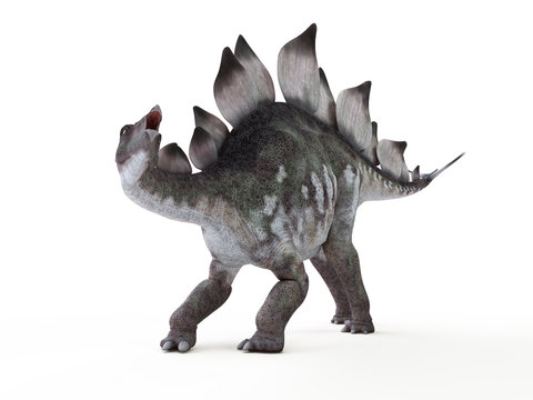 3d rendered illustration of a stegosaurus