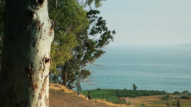 View of the Sea of Galilee (Kineret lake), Israel, cca. 2015.