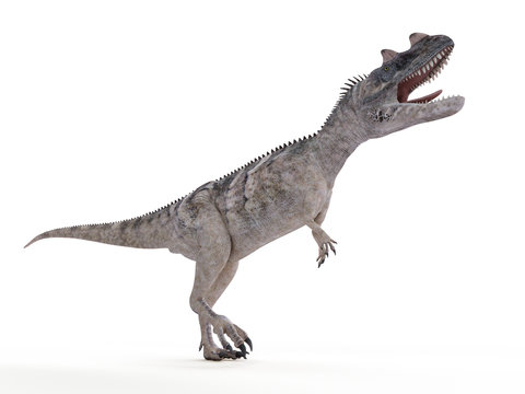 3d rendered illustration of a ceratosaurus