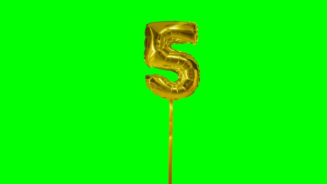 Number 5 five years birthday anniversary golden balloon floating on green screen