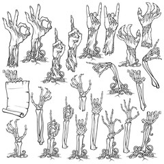 Zombie body language. Set of lifelike rotting zombie hands and skeleton hands rising from under the ground and torn apart. linear drawing isolated on white background. EPS10 vector illustration