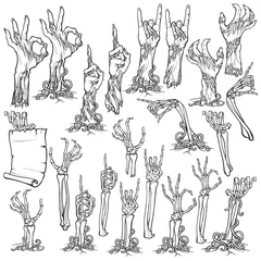 Fotobehang Zombie body language. Set of lifelike rotting zombie hands and skeleton hands rising from under the ground and torn apart. linear drawing isolated on white background. EPS10 vector illustration © AntonPix