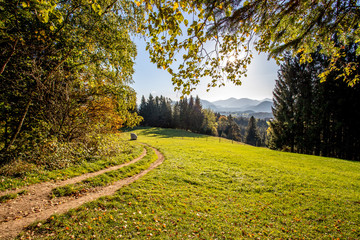 Wanderweg im Hebst, grüne Wiese und Blätterdach