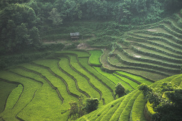 landscape rice fields on terraced of Mu Cang Chai, YenBai, Vietnam

