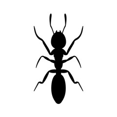 Ant the icon, logo on a white background