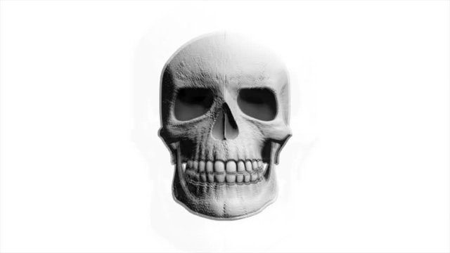Abstract Background Halloween Flickering Scary Skull 14