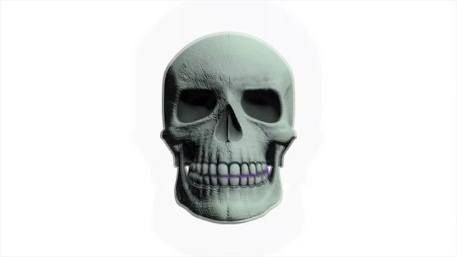 Abstract Background Halloween Flickering Scary Skull 15