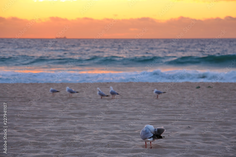 Poster Scarborough Beach, Australia