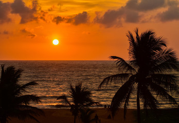 Zachód słońca, Sri Lanka, Negombo