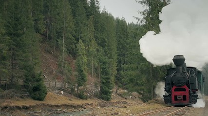 A narrow gauge railway train in Romania.