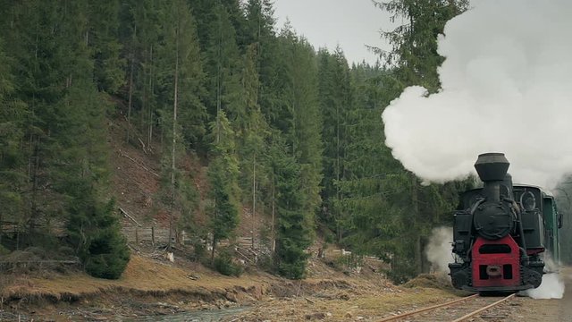 A narrow gauge railway train in Romania.