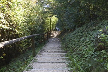 Obraz premium Autumn Landscape