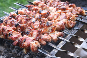 Grilled meat on the coals.