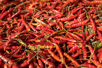 Fototapeta premium Chiles