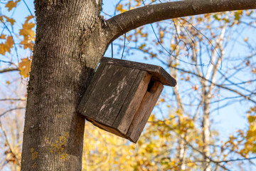 Birdhouse on a tree in autumn park