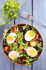 vegetable salad with egg