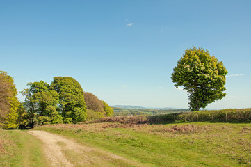 Hergest ridge of England and Wales in the summertime.