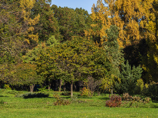 Fototapeta premium Autumn landscape