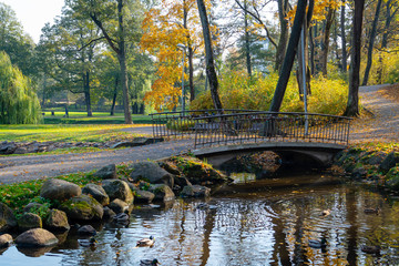 Autumn park with a river and a bridge.