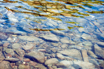 Ripples and fish in the River Wye at Hay on Wye in England and Wales.