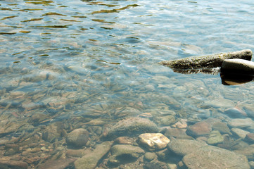 Ripples and fish in the River Wye at Hay on Wye in England and Wales.