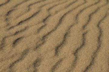 Fototapeta na wymiar Sand texture side view, golden light
