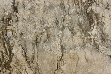 marble texture stone wall beige