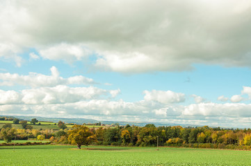 Fototapeta na wymiar Autumn landscape in the British countryside of Herefordshire.