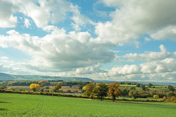 Autumn landscape in the British countryside of Herefordshire.