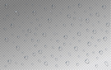 Water droplets. Set of realistic water droplets on the transparent background. Vector illustration.