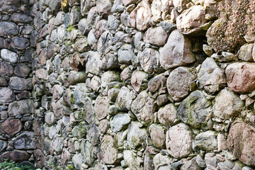 late fall. morning. the sun shines through the trees. stones in the swamp, a wall of stone building from time to time.