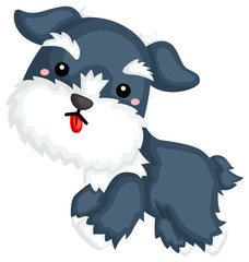 a happy and cute schnauzer dog breed