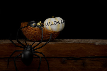 Fototapeta na wymiar Still life Halloween pumpkin on black background. Halloween concept