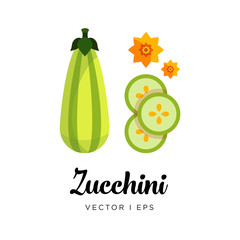 Elegant green fresh striped zucchini  vector editable illustration. Ripe green squash sliced, seeds, flowers, simple flat style.