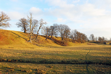 Early winter landscape in the Wye valley of England.