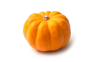closeup of orange gourd for halloween decoration on white background