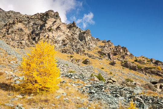 Paesaggio alpino autunnale