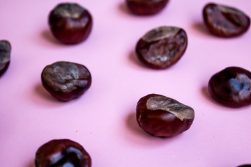 Geometric pattern with chestnut seeds, autumn pink background
