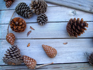 сосновые шишки на деревянном фоне