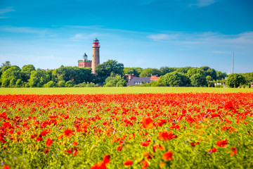 Kap Arkona lighthouse with red poppy flowers in summer, Rügen, Ostsee, Germany